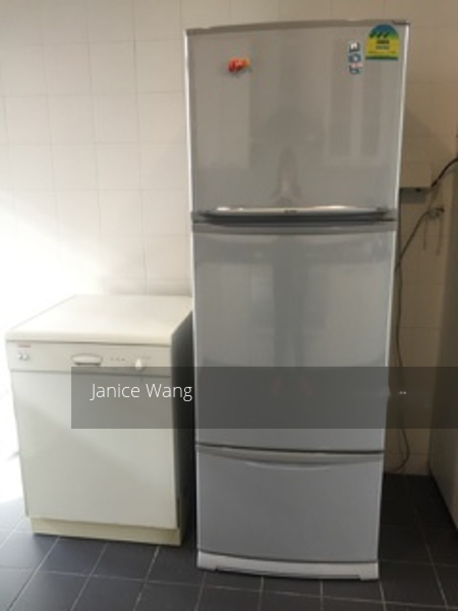 Holland Mansion (D10), Condominium #133870822
